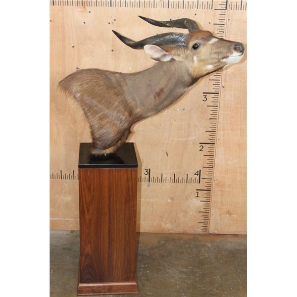 SITATUNGA Pedestal Mount