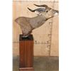 Image 1 : SITATUNGA Pedestal Mount