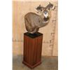 Image 2 : SITATUNGA Pedestal Mount