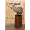 Image 3 : SITATUNGA Pedestal Mount