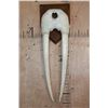 Image 1 : WALRUS Skull Upper Mask with its Ivory Tusks Mounted on a Wood Plaque