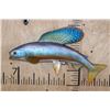 Image 1 : Reproduction ARCTIC GRAYLING Fish Mount