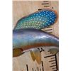 Image 4 : Reproduction ARCTIC GRAYLING Fish Mount