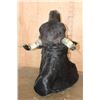Image 7 : BRAHMAN COW Bull Shoulder Mount