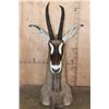 Image 1 : ROAN Floor or Table Pedestal Mount