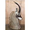 Image 2 : ROAN Floor or Table Pedestal Mount