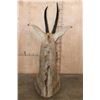 Image 4 : ROAN Floor or Table Pedestal Mount