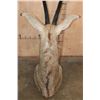 Image 5 : ROAN Floor or Table Pedestal Mount