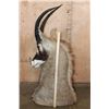 Image 6 : ROAN Floor or Table Pedestal Mount