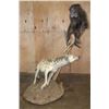 Image 1 : Life-sized BABOON with a Life-sized SPOTTED HYENA on a Natural Base with Wheels