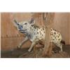 Image 9 : Life-sized BABOON with a Life-sized SPOTTED HYENA on a Natural Base with Wheels
