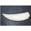 Image 7 : Pre 1972 XL Polished SPERM WHALE Tooth Displayed on a Wood Stand