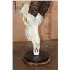 Image 6 : SABLE Skull on a Custom Table Pedestal