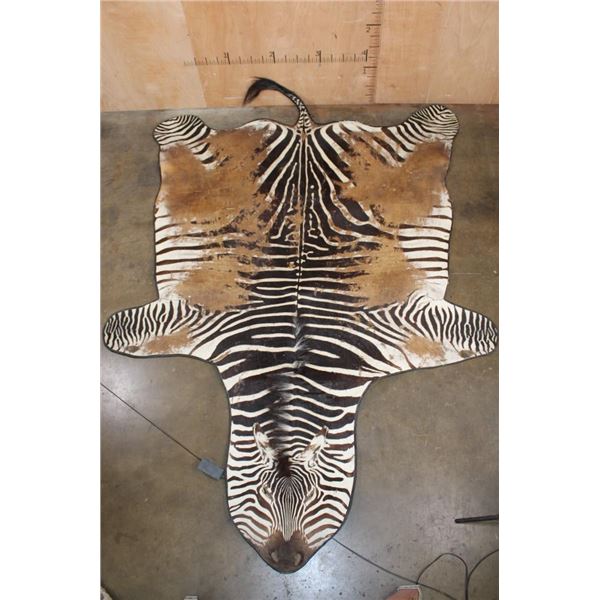 Big ZEBRA Hide Rug with Carpet Backing and Leather Piping