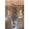 Image 1 : Big ZEBRA Hide Rug with Carpet Backing and Leather Piping