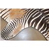 Image 6 : Big ZEBRA Hide Rug with Carpet Backing and Leather Piping