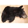Image 3 : BLACK BEAR Shoulder Mount