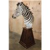 Image 1 : ZEBRA Pedestal Mount