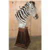 Image 2 : ZEBRA Pedestal Mount