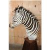 Image 4 : ZEBRA Pedestal Mount