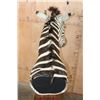 Image 7 : ZEBRA Pedestal Mount