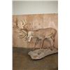 Image 1 : Big Life-sized 26-Point RED STAG on a Natural Base with Wheels