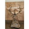 Image 8 : Big Life-sized 26-Point RED STAG on a Natural Base with Wheels