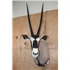 Image 1 : GEMSBOK Shoulder Mount