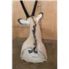 Image 8 : GEMSBOK Shoulder Mount