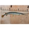 Image 2 : *Real Skin* LONGNOSE GAR Fish Mount