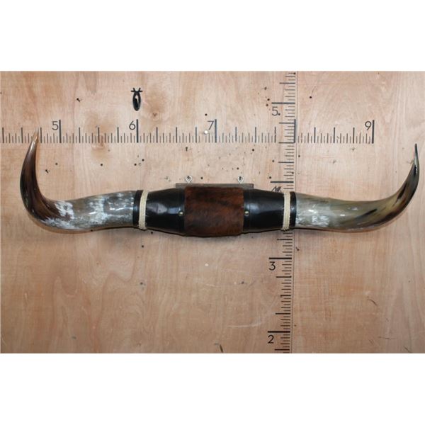XXL Set of Polished WATUSI and LONGHORN Cross Horns