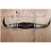 Image 1 : XXL Set of Polished WATUSI and LONGHORN Cross Horns