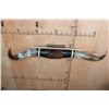 Image 4 : XXL Set of Polished WATUSI and LONGHORN Cross Horns