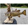Image 2 : Big *Real Skin* SMALLMOUTH BASS Mounted on a Natural Habitat Base
