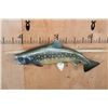 Image 2 : Reproduction BULL TROUT Fish Mount