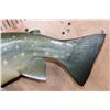 Image 5 : Reproduction BULL TROUT Fish Mount
