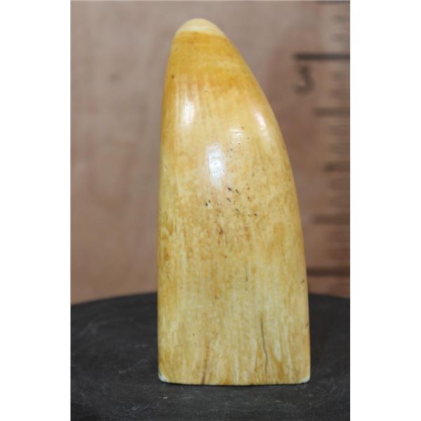 Massive Pre 1972 SPERM WHALE Tooth
