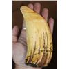Image 5 : Pre 1972 XL SPERM WHALE Tooth on a Plexiglass Display Stand