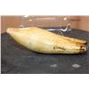 Image 6 : Pre 1972 XL SPERM WHALE Tooth on a Plexiglass Display Stand