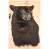 Image 2 : BLACK BEAR Wall Pedestal