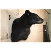 Image 3 : BLACK BEAR Wall Pedestal