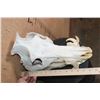 Image 6 : XL Domestic PIG Skull with All its Teeth