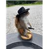 Image 2 : *New* Life-sized Cowboy SQUIRREL on a Log Slice Base