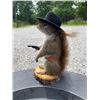 Image 4 : *New* Life-sized Cowboy SQUIRREL on a Log Slice Base