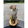 Image 1 : *New* Life-sized Fishing SQUIRREL with his Rod, Reel, and "Catch" a little Fish on a Wood Slice Base
