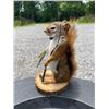 Image 2 : *New* Life-sized Fishing SQUIRREL with his Rod, Reel, and "Catch" a little Fish on a Wood Slice Base