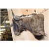 Image 2 : Big BLACK WILDEBEEST Wall Pedestal Mount