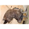 Image 3 : Big BLACK WILDEBEEST Wall Pedestal Mount
