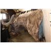 Image 5 : Big BLACK WILDEBEEST Wall Pedestal Mount