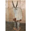 Image 10 : Big ELAND Pedestal Mount